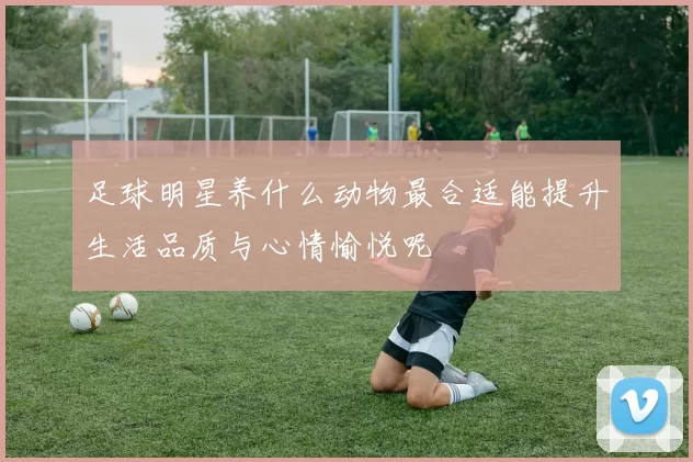 足球明星养什么动物最合适能提升生活品质与心情愉悦呢