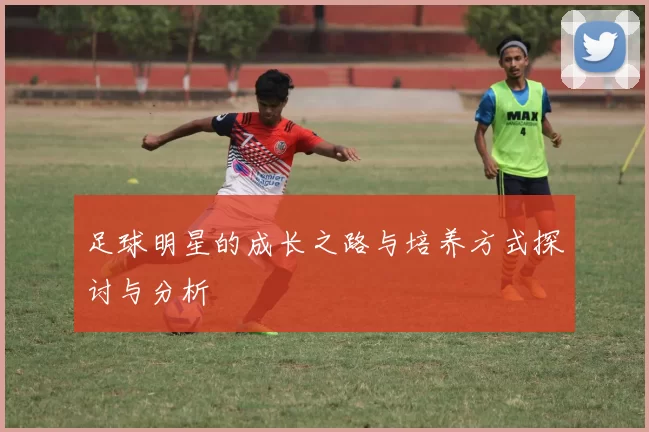 足球明星的成长之路与培养方式探讨与分析