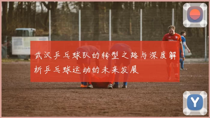 武汉乒乓球队的转型之路与深度解析乒乓球运动的未来发展