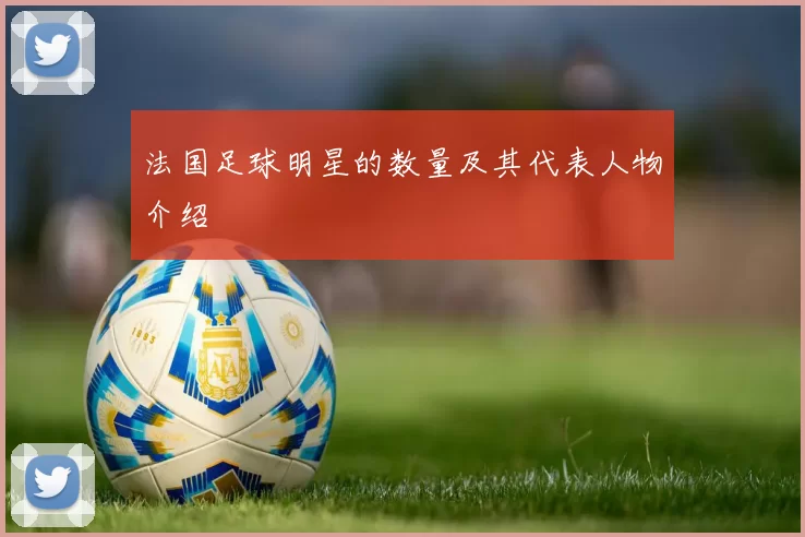 法国足球明星的数量及其代表人物介绍
