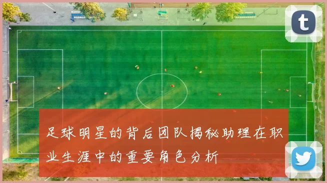 足球明星的背后团队揭秘助理在职业生涯中的重要角色分析