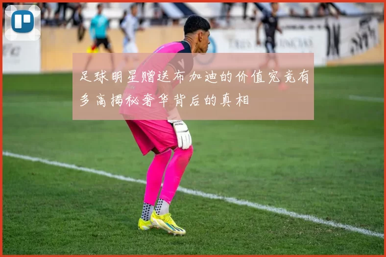 足球明星赠送布加迪的价值究竟有多高揭秘奢华背后的真相