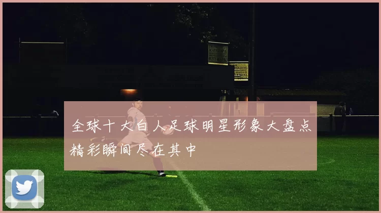 全球十大白人足球明星形象大盘点精彩瞬间尽在其中