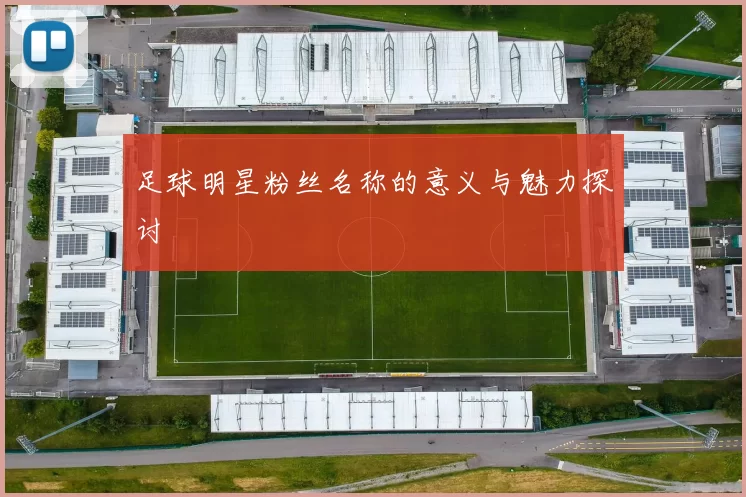 足球明星粉丝名称的意义与魅力探讨