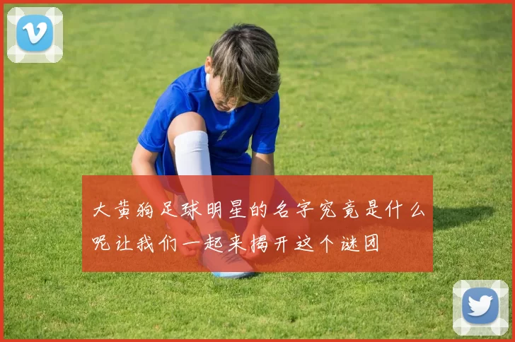 大黄狗足球明星的名字究竟是什么呢让我们一起来揭开这个谜团