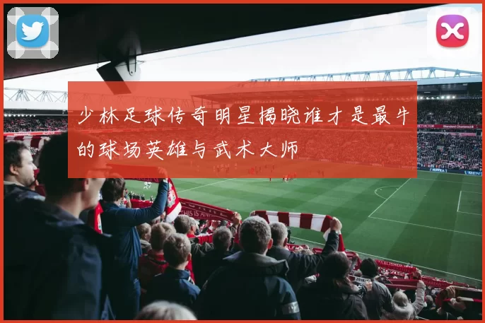 少林足球传奇明星揭晓谁才是最牛的球场英雄与武术大师