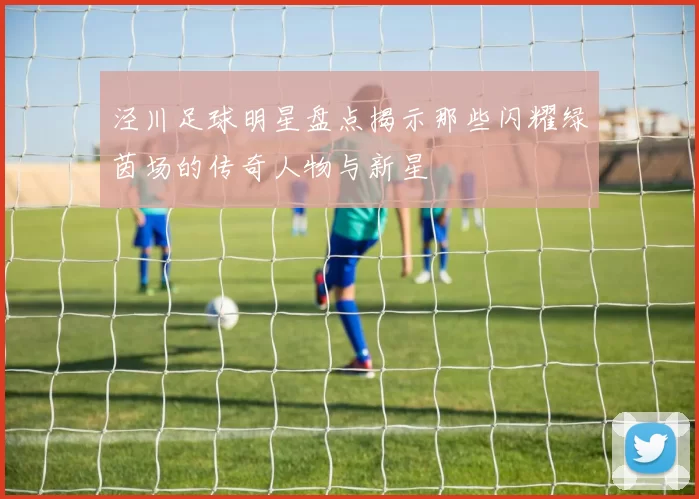 泾川足球明星盘点揭示那些闪耀绿茵场的传奇人物与新星