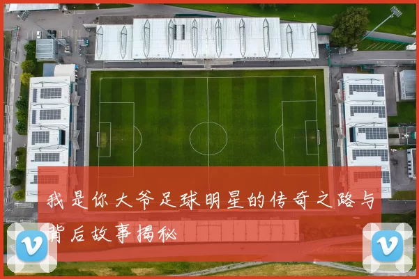 我是你大爷足球明星的传奇之路与背后故事揭秘