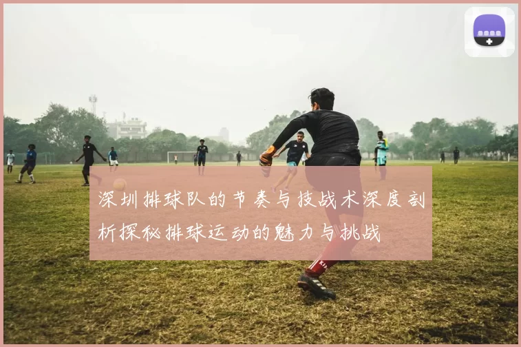 深圳排球队的节奏与技战术深度剖析探秘排球运动的魅力与挑战